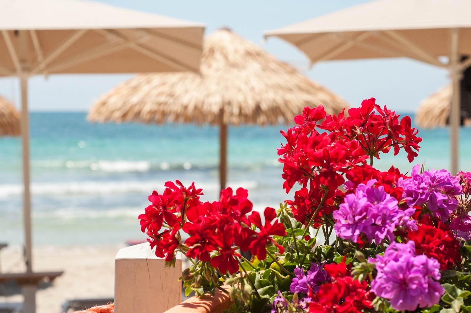 Conchiglia Azzurra Resort & Beach Porto Cesareo Εξωτερικό φωτογραφία